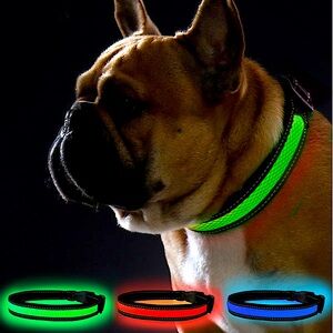 *NWT*‎ XS Green LED Dog Collar